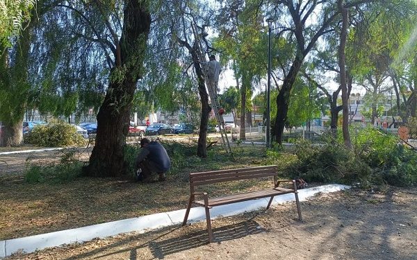 Intervienen más de 460 mil metros cuadrados con poda y chapeo