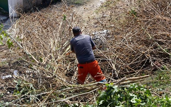 Refuerza OOSL limpieza en la barranca Río Zapatero
