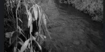 Gobierno de Pepe Chedraui prioriza la supervisión de afluentes ante lluvias