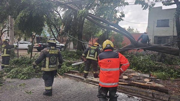Atiende Puebla capital daños por lluvias y viento