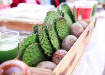 Presenta Lupita Cuautle Feria del Nopal 2026