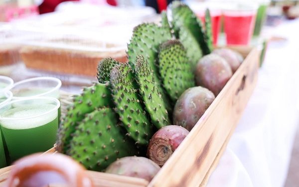 Presenta Lupita Cuautle Feria del Nopal 2026
