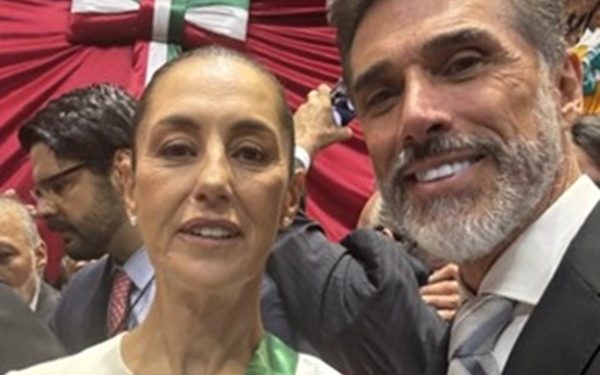Renuncia Sergio Mayer a Morena