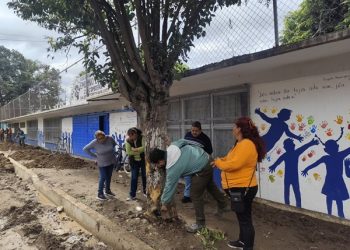 Promueven el cuidado y conservación del arbolado urbano