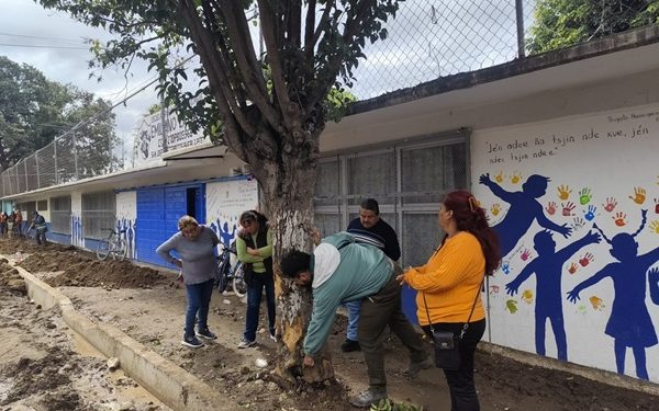 Promueven el cuidado y conservación del arbolado urbano