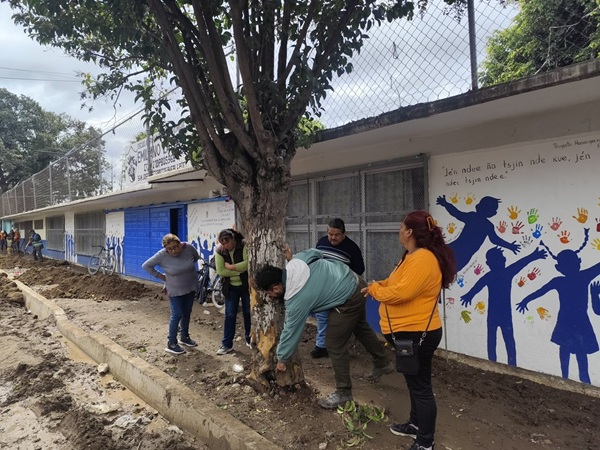 Promueven el cuidado y conservación del arbolado urbano