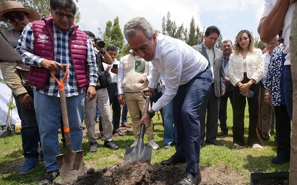 Promueve Pepe Chedraui jornadas de reforestación