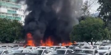 Muere Oliver Tree en accidente aéreo en Brasil