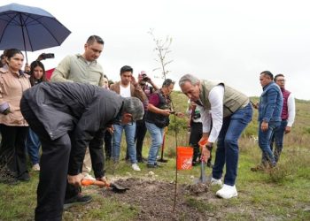 Encabeza Chedraui jornada de reforestación en Ecocampus BUAP