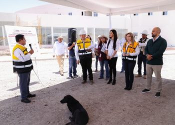 Avanza 77% célula de bienestar animal