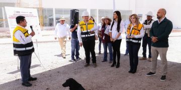 Avanza 77% célula de bienestar animal