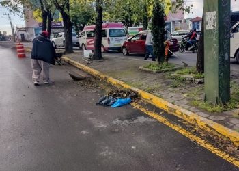 Mejora Ayuntamiento 16 millones de metros cuadrados de camellones