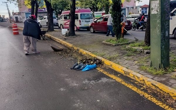 Mejora Ayuntamiento 16 millones de metros cuadrados de camellones