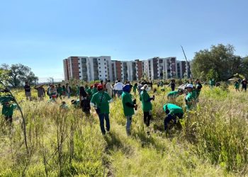 Reforesta Ayuntamiento de Puebla el Cerro de Amalucan
