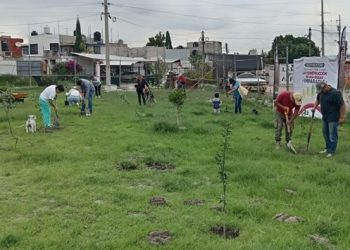 Reforestan Puebla capital con 9 mil 393 árboles