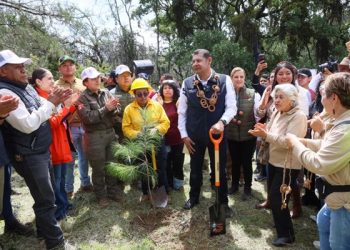 Reforesta Puebla con 177 mil 950 árboles