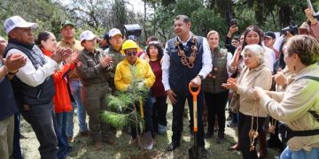Reforesta Puebla con 177 mil 950 árboles