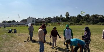 Impulsa Chedraui reforestación con especies nativas