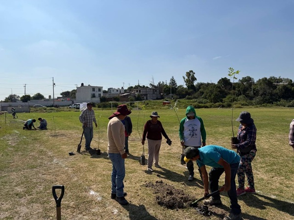 Impulsa Chedraui reforestación con especies nativas