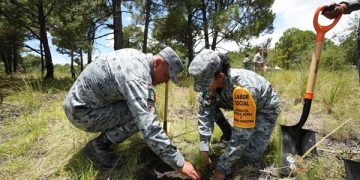 Suma Chedraui esfuerzos en la Jornada Nacional de Reforestación