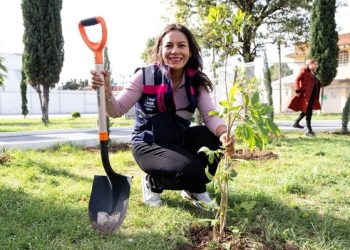 Planta San Andrés 220 árboles en Santa María Cuaco