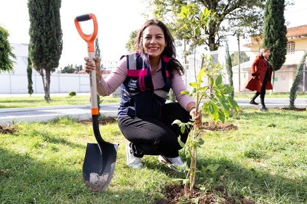 Planta San Andrés 220 árboles en Santa María Cuaco