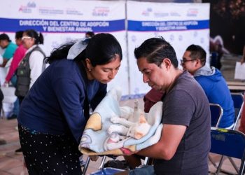 Suma San Andrés 983 esterilizaciones