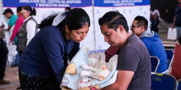 Suma San Andrés 983 esterilizaciones