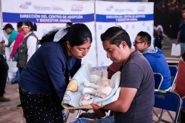 Suma San Andrés 983 esterilizaciones