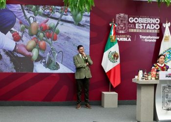 Impulsa Puebla plantas de café y totopos