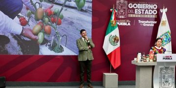 Impulsa Puebla plantas de café y totopos