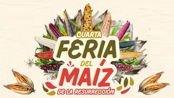 Celebrarán la Feria del Maíz en La Resurrección