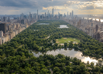 Enfrenta Central Park el cambio climático