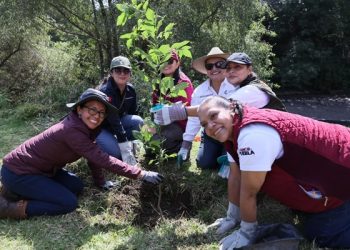 Limpian y reforestan márgenes del río Atoyac