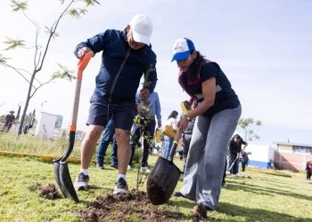 Reforesta Lupita Cuautle polideportivo