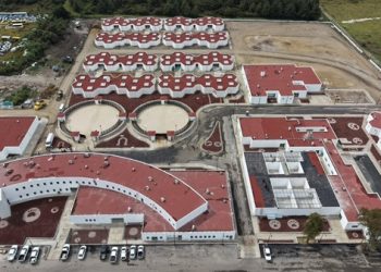 Avanza Célula de Bienestar Animal en Puebla