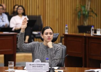 Designan a Blanca Cruz presidenta interina del INE