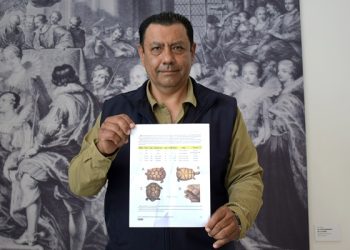 Registran en Puebla tortuga de especie vulnerable