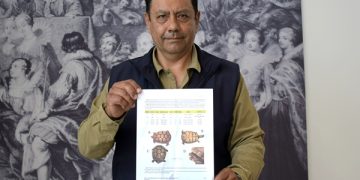 Registran en Puebla tortuga de especie vulnerable