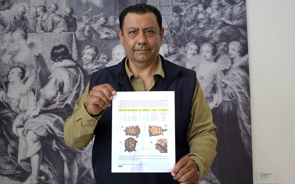 Registran en Puebla tortuga de especie vulnerable
